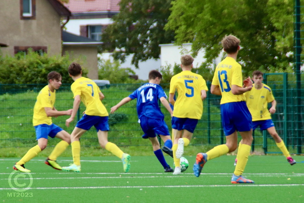 Knappe Niederlage gegen den FC Grimma auch in der Liga!